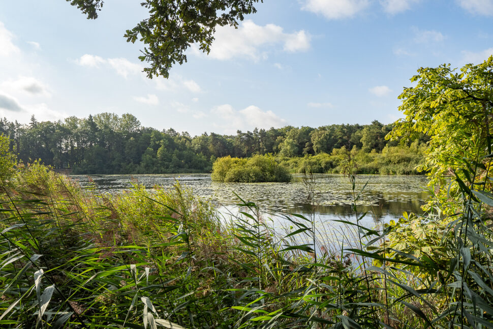 Deurningen, Nieuwe Grensweg 13