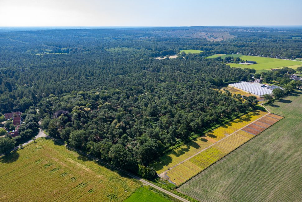 Haarle, Tunnelweg