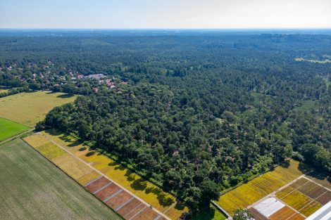 Haarle, Tunnelweg