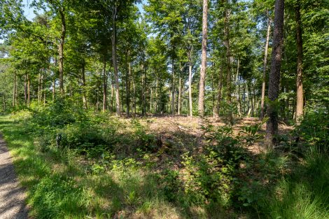Haarle, Tunnelweg