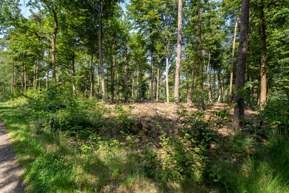 Haarle, Tunnelweg